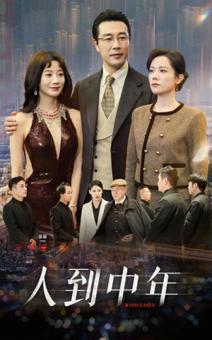 人到中年（35集）短剧介绍