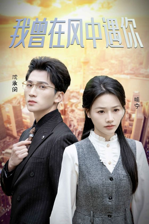 我曾在风中遇你（30集）免费短剧大全