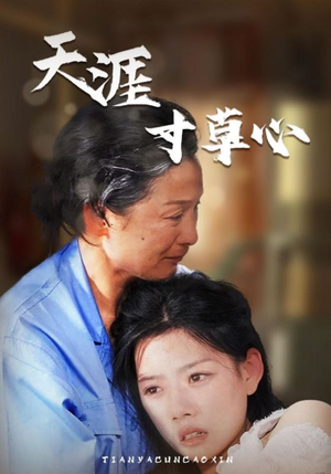 天涯寸草心（76集）免费热门短剧