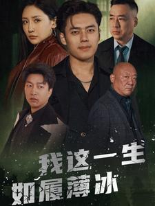 我这一生如履薄冰（80集）80到100集