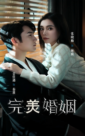 完美婚姻（65集）口碑之选免费看