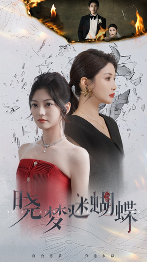 晓梦迷蝴蝶（76集）高清画质免费看