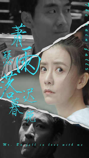 萧瑟雨落迟暮晚（89集）大结局