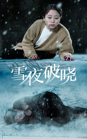 雪夜破晓（36集）好看的短剧电影