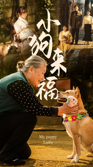 小狗来福（30集）无需会员轻松看