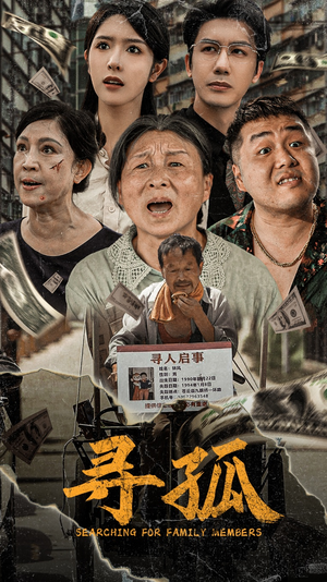 寻孤（78集）全季一次看完