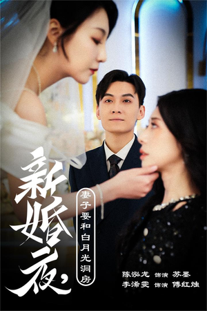 礼尚往来（30集）好看短剧追不停