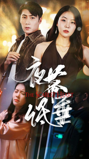 夜幕低垂（37集）热门短剧推广