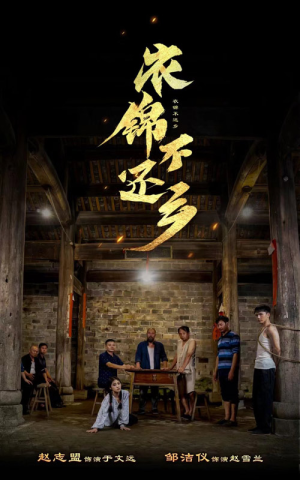 衣锦不还乡（69集）短剧全集免费