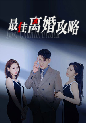 最佳离婚攻略（31集）一起追短剧