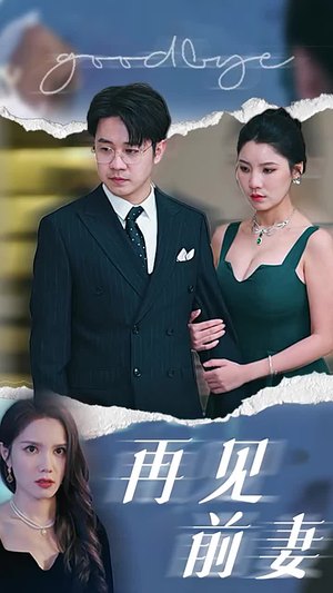 再见前妻（40集）百度网盘资源