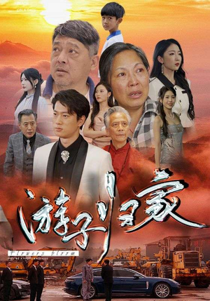 游子归家（88集）1-102集