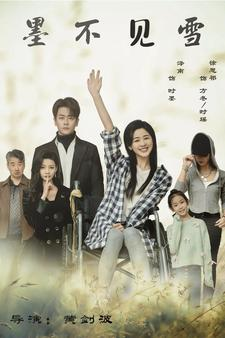 墨不见雪（75集）演的怎么样