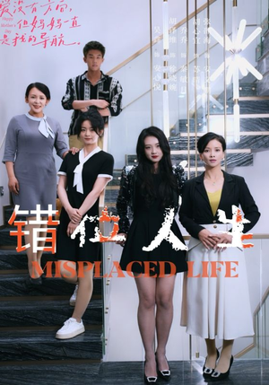 错位人生（89集）高分佳作免费看