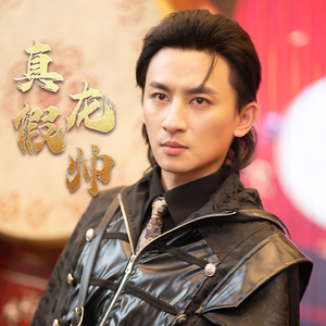 真假龙帅（81集）简直不要太好看
