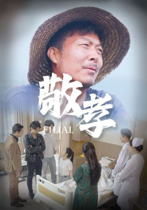 敬孝（61集）在线观看全集