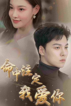 命中注定我爱你（75集）精彩短剧随心推