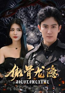 傲骨龙隐（102集）1-102集