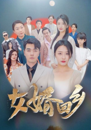 女婿回乡（120集）热门短剧来袭