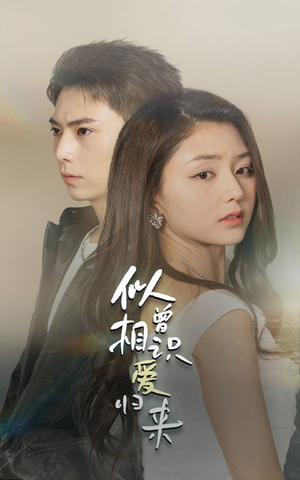 似曾相识爱归来（77集）最后的大结局