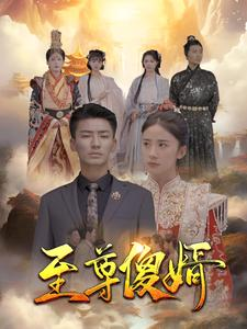 至尊傻婿（82集）1-102集
