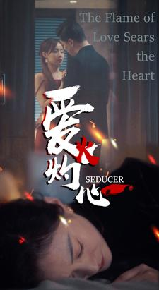 爱火灼心（99集）精彩短剧追不停