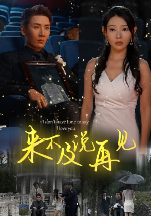 来不及说再见（30集）免费观看