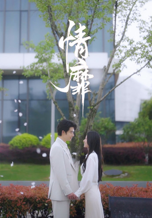 情靡（92集）全集免费