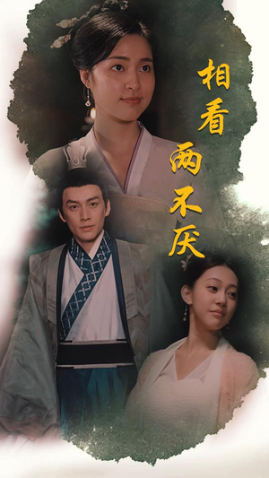 相看两不厌（85集）全集完整版