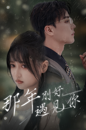 那年遇见你（62集）热播短剧免费看