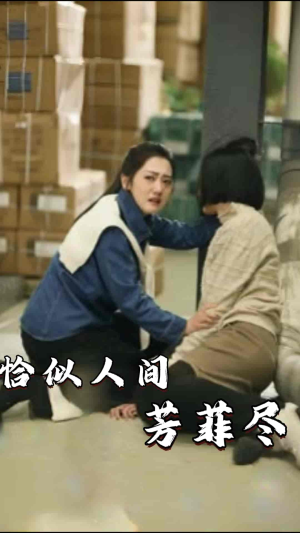 恰似人间芳菲尽（68集）追风的女孩短剧