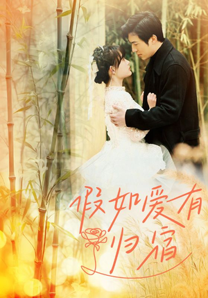 假如爱有归宿（73集）免费看短剧全集