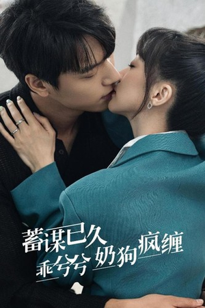 蓄谋已久，乖兮兮奶狗疯缠（94集）短剧每日分享