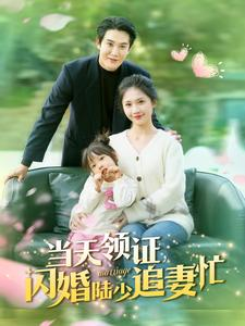 当天领证闪婚陆少追妻忙（80集）我全都看完了