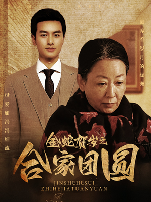 金蛇贺岁之合家团圆（30集）在线观看完整版