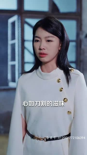 新版：你是我的解药（100集）百度网盘资源