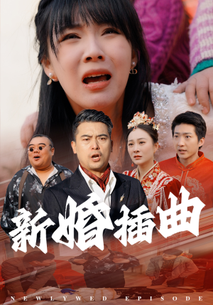 31.新婚插曲（29集）最后一集