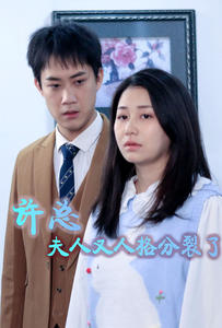 许总，夫人又人格分裂了（85集）热播短剧排行榜