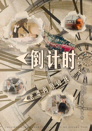 倒计时：老婆再原谅我一次（100集）80到100集