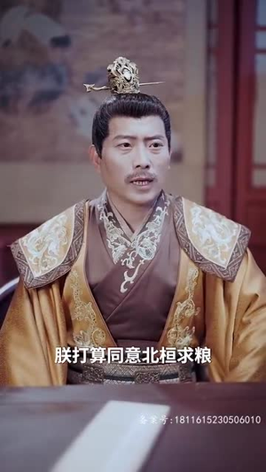 醉枕江山，这个皇子是老六（69集）视频在线看