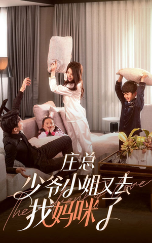 庄少，少爷小姐又去找妈咪了（68集）评价怎么样