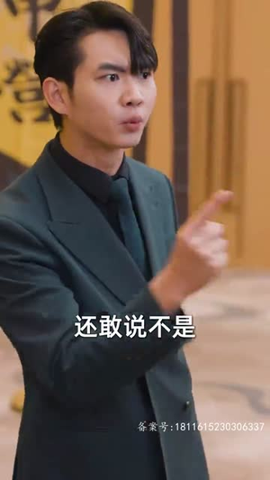 锦龙（82集）免费看全网短剧