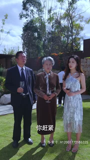 离婚后高傲前妻悔恨终身（77集）怎么看全集