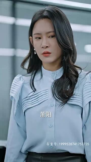 隐龙之护妻高手（100集）全集我都看完了