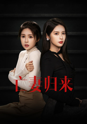 亡妻归来（85集）在线免费观看