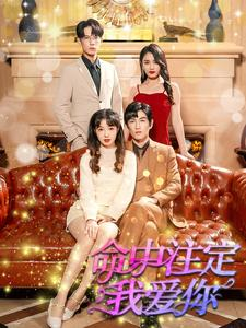 命中注定我爱你（99集）流畅播放免费看