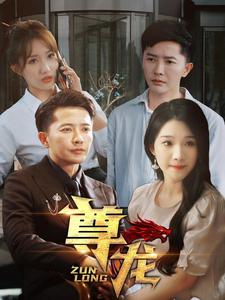 新版：尊龙（97集）番茄短剧看全集