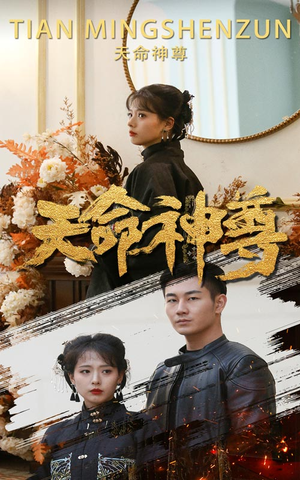 天命神尊（102集）全集下载