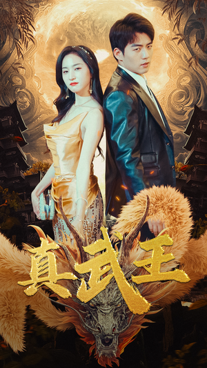 真武王（91集）观看软件