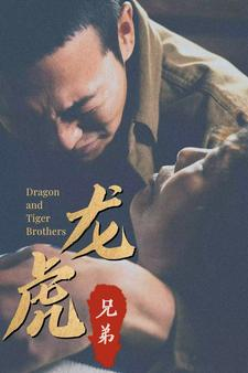 龙虎兄弟（80集）追短剧太上头了